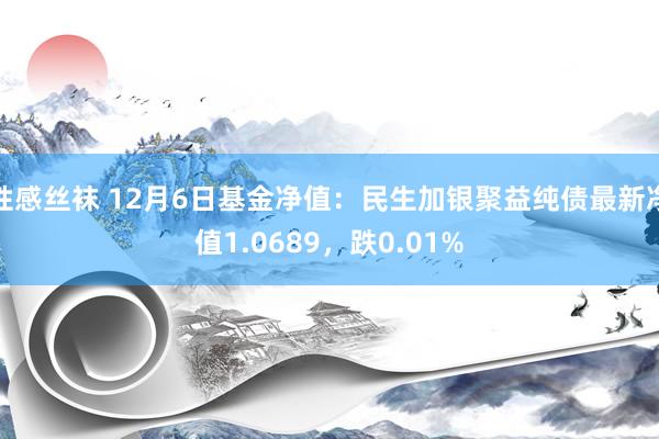 性感丝袜 12月6日基金净值：民生加银聚益纯债最新净值1.0689，跌0.01%