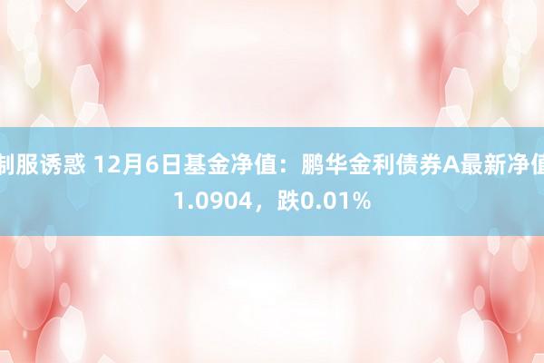 制服诱惑 12月6日基金净值：鹏华金利债券A最新净值1.0904，跌0.01%