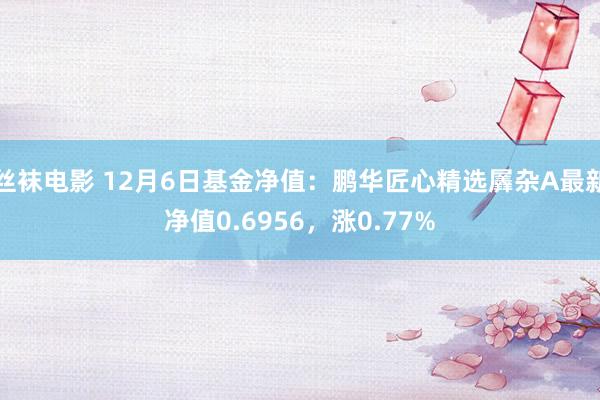 丝袜电影 12月6日基金净值：鹏华匠心精选羼杂A最新净值0.6956，涨0.77%