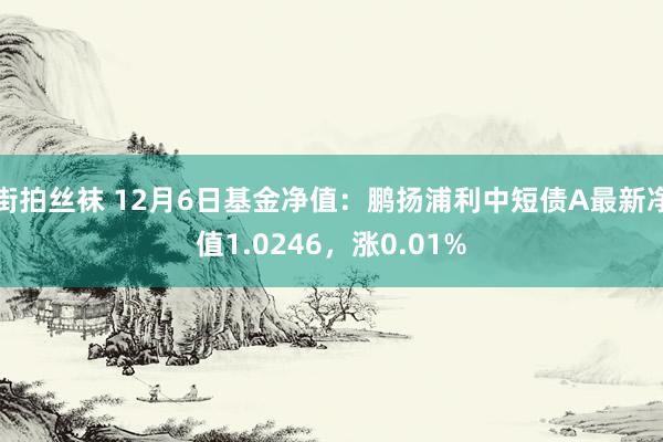 街拍丝袜 12月6日基金净值：鹏扬浦利中短债A最新净值1.0246，涨0.01%