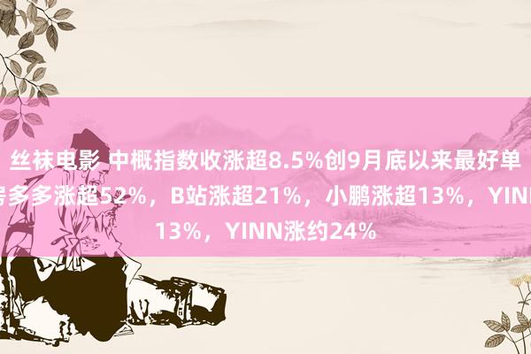 丝袜电影 中概指数收涨超8.5%创9月底以来最好单日发达，房多多涨超52%，B站涨超21%，小鹏涨超13%，YINN涨约24%