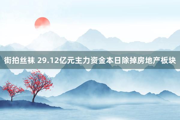 街拍丝袜 29.12亿元主力资金本日除掉房地产板块