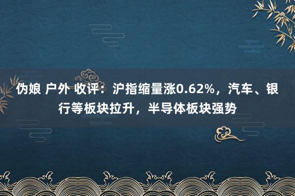 伪娘 户外 收评：沪指缩量涨0.62%，汽车、银行等板块拉升，半导体板块强势