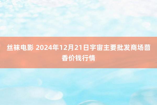 丝袜电影 2024年12月21日宇宙主要批发商场茴香价钱行情