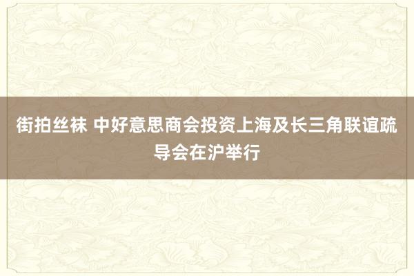 街拍丝袜 中好意思商会投资上海及长三角联谊疏导会在沪举行