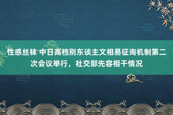 性感丝袜 中日高档别东谈主文相易征询机制第二次会议举行，社交部先容相干情况