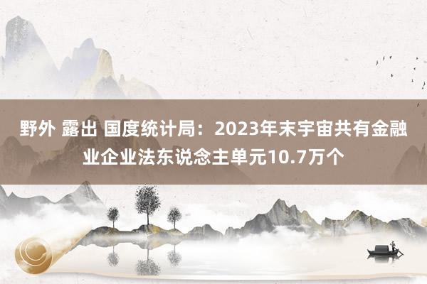 野外 露出 国度统计局：2023年末宇宙共有金融业企业法东说念主单元10.7万个