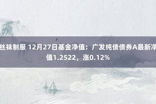 丝袜制服 12月27日基金净值：广发纯债债券A最新净值1.2522，涨0.12%