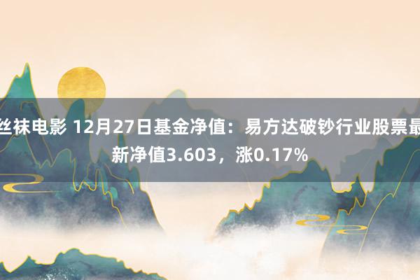 丝袜电影 12月27日基金净值：易方达破钞行业股票最新净值3.603，涨0.17%