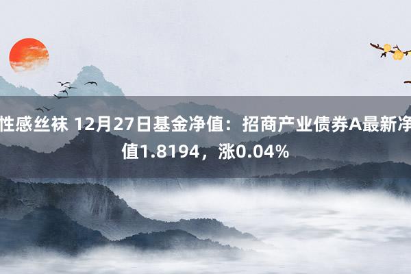 性感丝袜 12月27日基金净值：招商产业债券A最新净值1.8194，涨0.04%