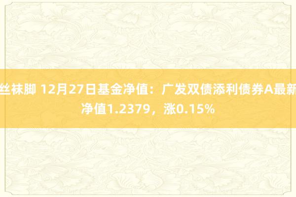 丝袜脚 12月27日基金净值：广发双债添利债券A最新净值1.2379，涨0.15%