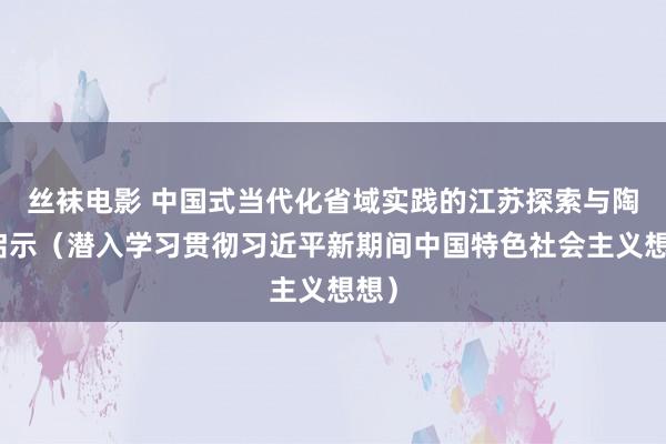 丝袜电影 中国式当代化省域实践的江苏探索与陶冶启示（潜入学习贯彻习近平新期间中国特色社会主义想想）