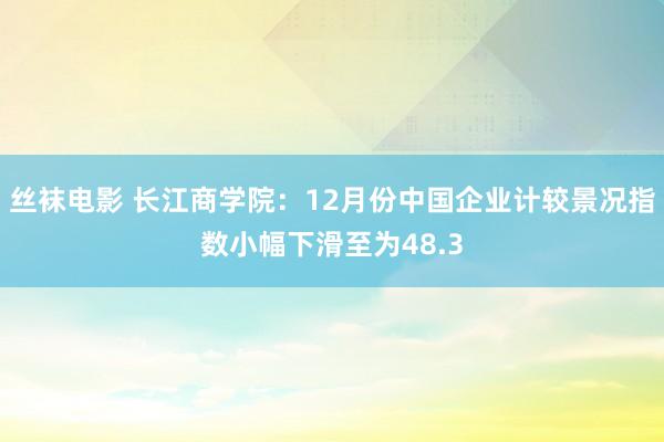 丝袜电影 长江商学院：12月份中国企业计较景况指数小幅下滑至为48.3