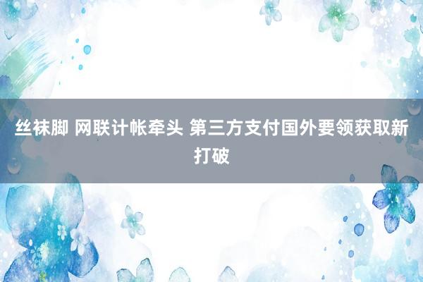 丝袜脚 网联计帐牵头 第三方支付国外要领获取新打破