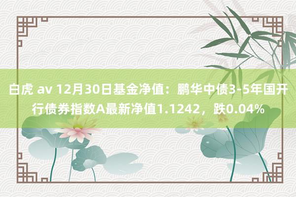 白虎 av 12月30日基金净值：鹏华中债3-5年国开行债券指数A最新净值1.1242，跌0.04%