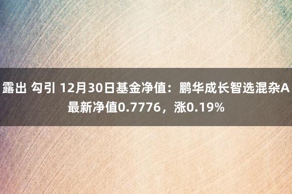 露出 勾引 12月30日基金净值：鹏华成长智选混杂A最新净值0.7776，涨0.19%