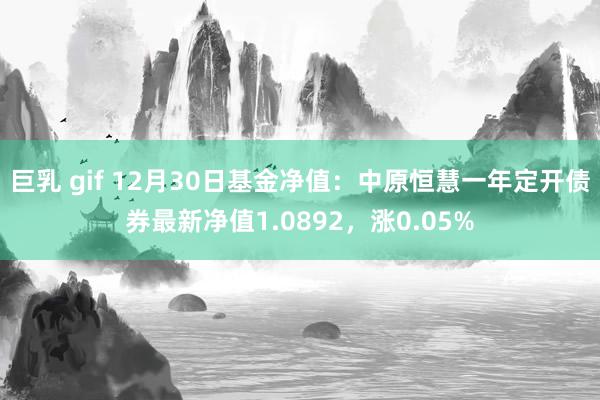 巨乳 gif 12月30日基金净值：中原恒慧一年定开债券最新净值1.0892，涨0.05%