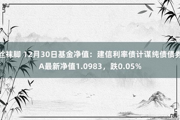 丝袜脚 12月30日基金净值：建信利率债计谋纯债债券A最新净值1.0983，跌0.05%