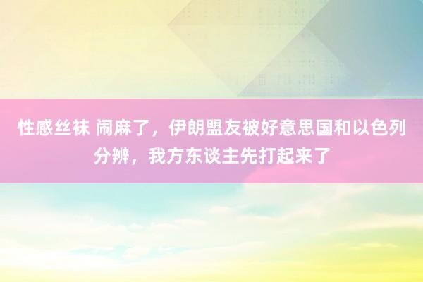 性感丝袜 闹麻了，伊朗盟友被好意思国和以色列分辨，我方东谈主先打起来了