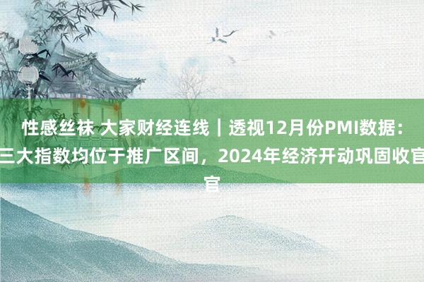 性感丝袜 大家财经连线｜透视12月份PMI数据：三大指数均位于推广区间，2024年经济开动巩固收官