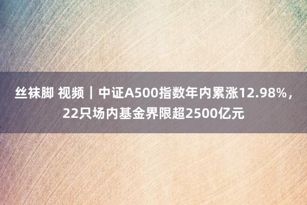 丝袜脚 视频｜中证A500指数年内累涨12.98%，22只场内基金界限超2500亿元