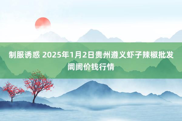 制服诱惑 2025年1月2日贵州遵义虾子辣椒批发阛阓价钱行情