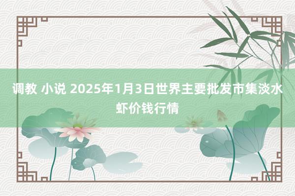 调教 小说 2025年1月3日世界主要批发市集淡水虾价钱行情