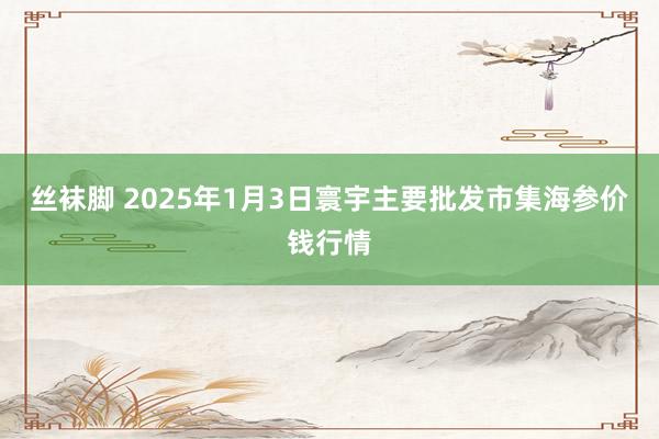 丝袜脚 2025年1月3日寰宇主要批发市集海参价钱行情