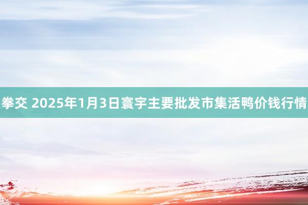 拳交 2025年1月3日寰宇主要批发市集活鸭价钱行情