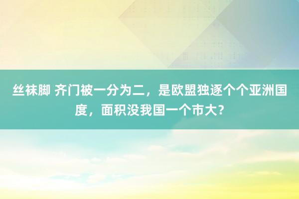 丝袜脚 齐门被一分为二，是欧盟独逐个个亚洲国度，面积没我国一个市大？