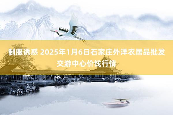 制服诱惑 2025年1月6日石家庄外洋农居品批发交游中心价钱行情