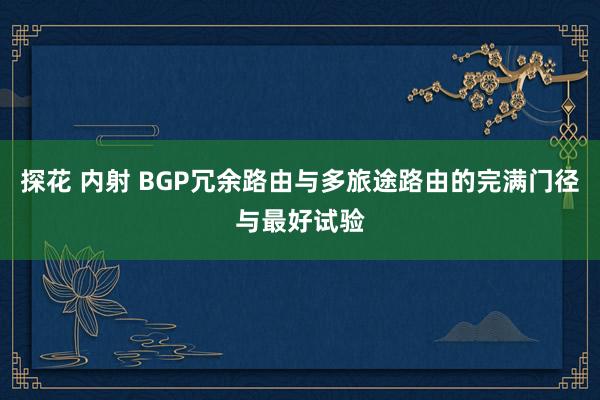 探花 内射 BGP冗余路由与多旅途路由的完满门径与最好试验