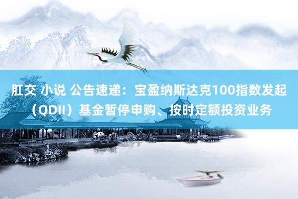 肛交 小说 公告速递：宝盈纳斯达克100指数发起（QDII）基金暂停申购、按时定额投资业务