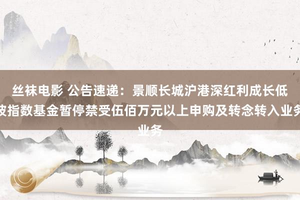 丝袜电影 公告速递：景顺长城沪港深红利成长低波指数基金暂停禁受伍佰万元以上申购及转念转入业务