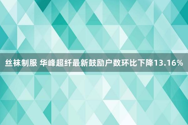 丝袜制服 华峰超纤最新鼓励户数环比下降13.16%