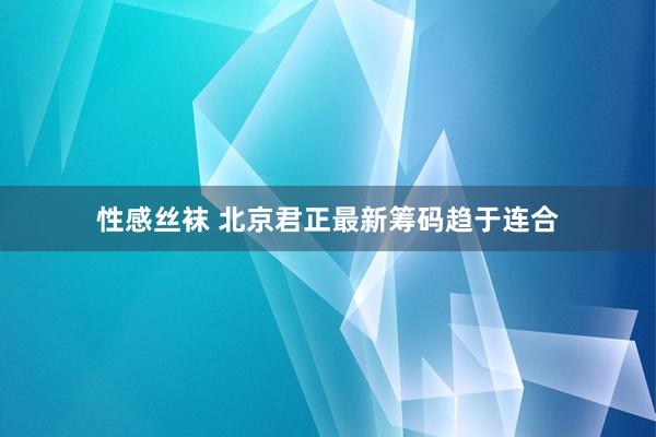 性感丝袜 北京君正最新筹码趋于连合