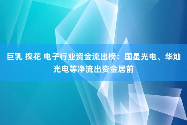 巨乳 探花 电子行业资金流出榜：国星光电、华灿光电等净流出资金居前