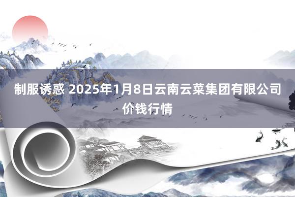 制服诱惑 2025年1月8日云南云菜集团有限公司价钱行情