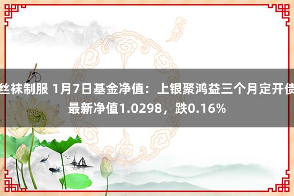 丝袜制服 1月7日基金净值：上银聚鸿益三个月定开债最新净值1.0298，跌0.16%