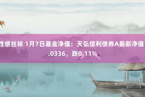 性感丝袜 1月7日基金净值：天弘信利债券A最新净值1.0336，跌0.11%