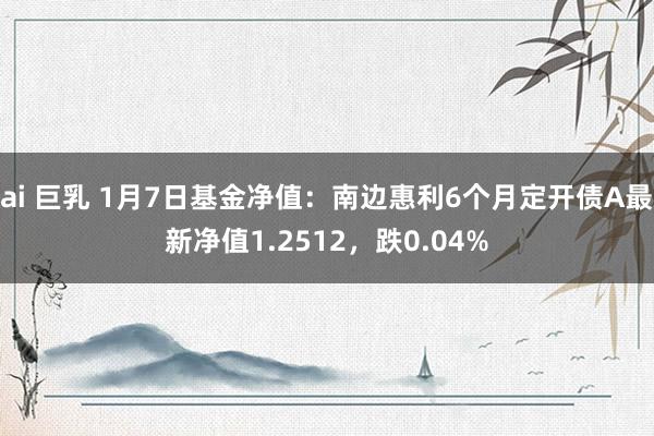 ai 巨乳 1月7日基金净值：南边惠利6个月定开债A最新净值1.2512，跌0.04%