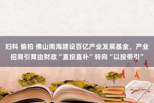 妇科 偷拍 佛山南海建设百亿产业发展基金，产业招商引育由财政“直投直补”转向“以投带引”