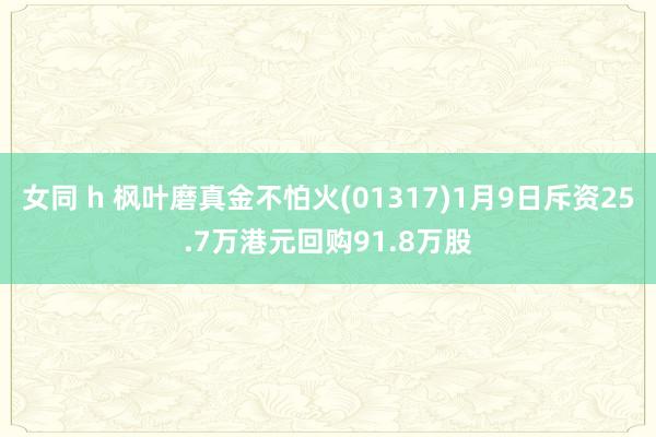 女同 h 枫叶磨真金不怕火(01317)1月9日斥资25.7万港元回购91.8万股