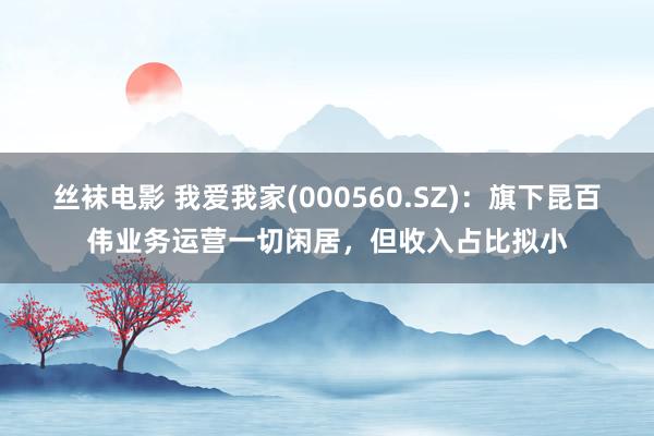 丝袜电影 我爱我家(000560.SZ)：旗下昆百伟业务运营一切闲居，但收入占比拟小