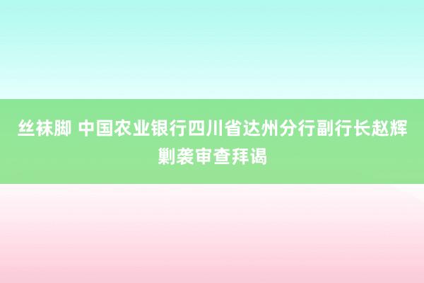 丝袜脚 中国农业银行四川省达州分行副行长赵辉剿袭审查拜谒