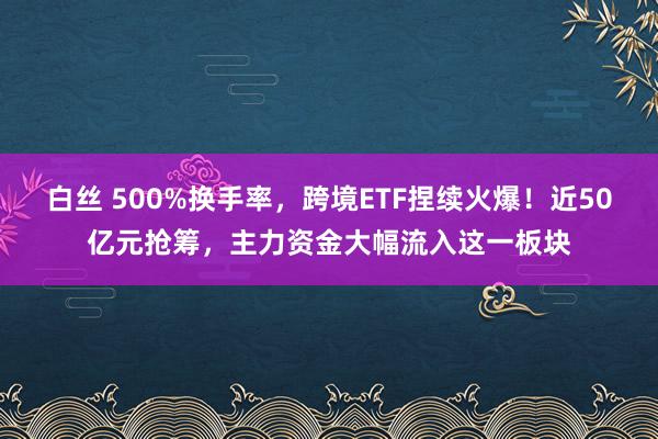 白丝 500%换手率，跨境ETF捏续火爆！近50亿元抢筹，主力资金大幅流入这一板块