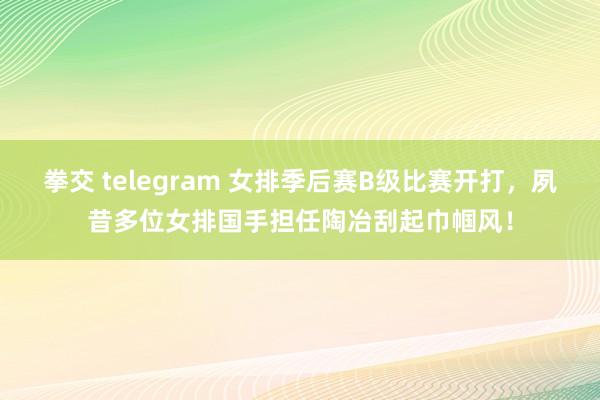 拳交 telegram 女排季后赛B级比赛开打，夙昔多位女排国手担任陶冶刮起巾帼风！