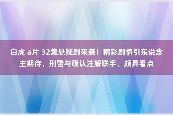 白虎 a片 32集悬疑剧来袭！精彩剧情引东说念主期待，刑警与确认注解联手，颇具看点