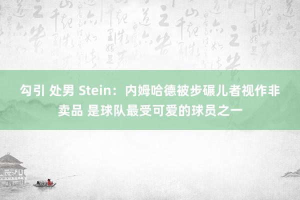 勾引 处男 Stein：内姆哈德被步碾儿者视作非卖品 是球队最受可爱的球员之一