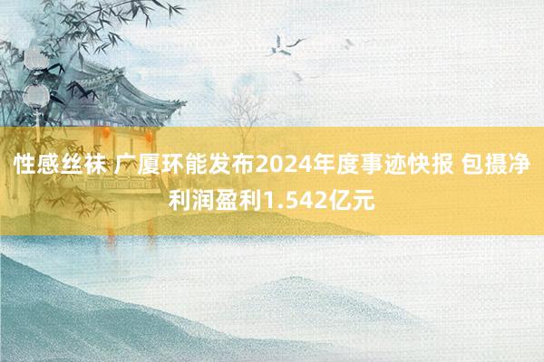 性感丝袜 广厦环能发布2024年度事迹快报 包摄净利润盈利1.542亿元